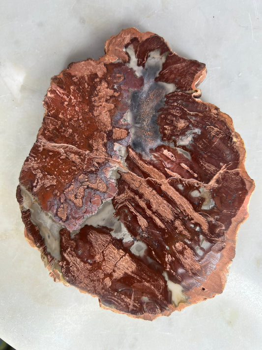Petrified wood slab 1 pound 12oz