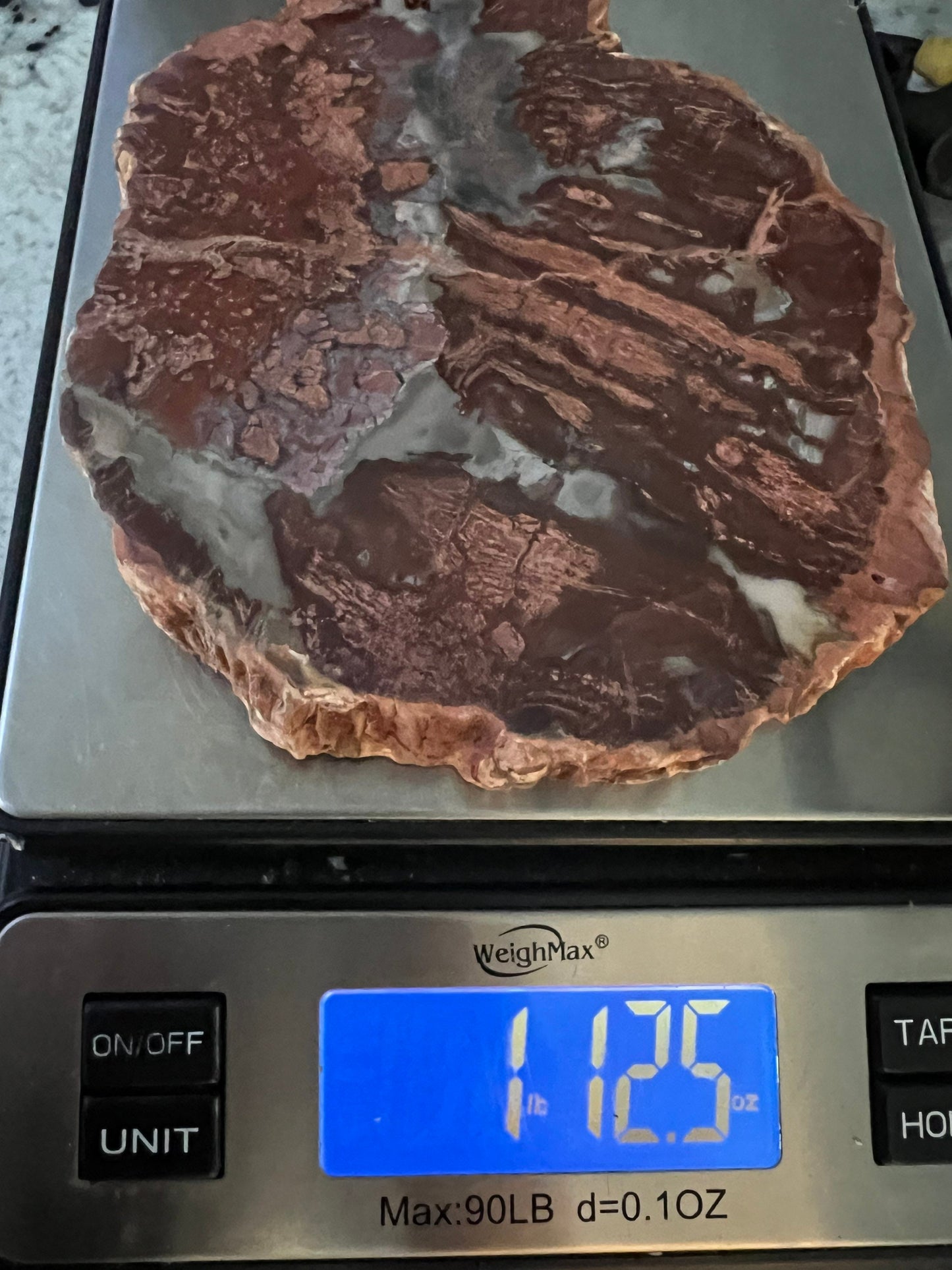 Petrified wood slab 1 pound 12oz