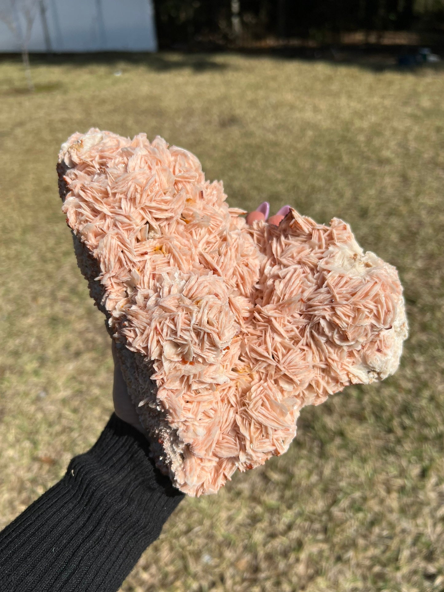 Vanadinite crystals on Baryte 5 pounds 14oz cluster.