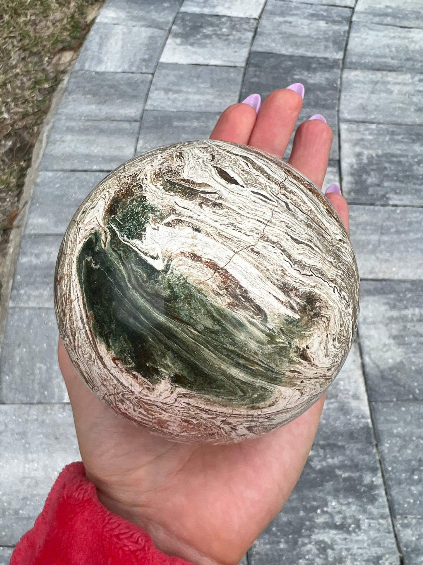 Petrified wood sphere 1lb 11oz 85mm