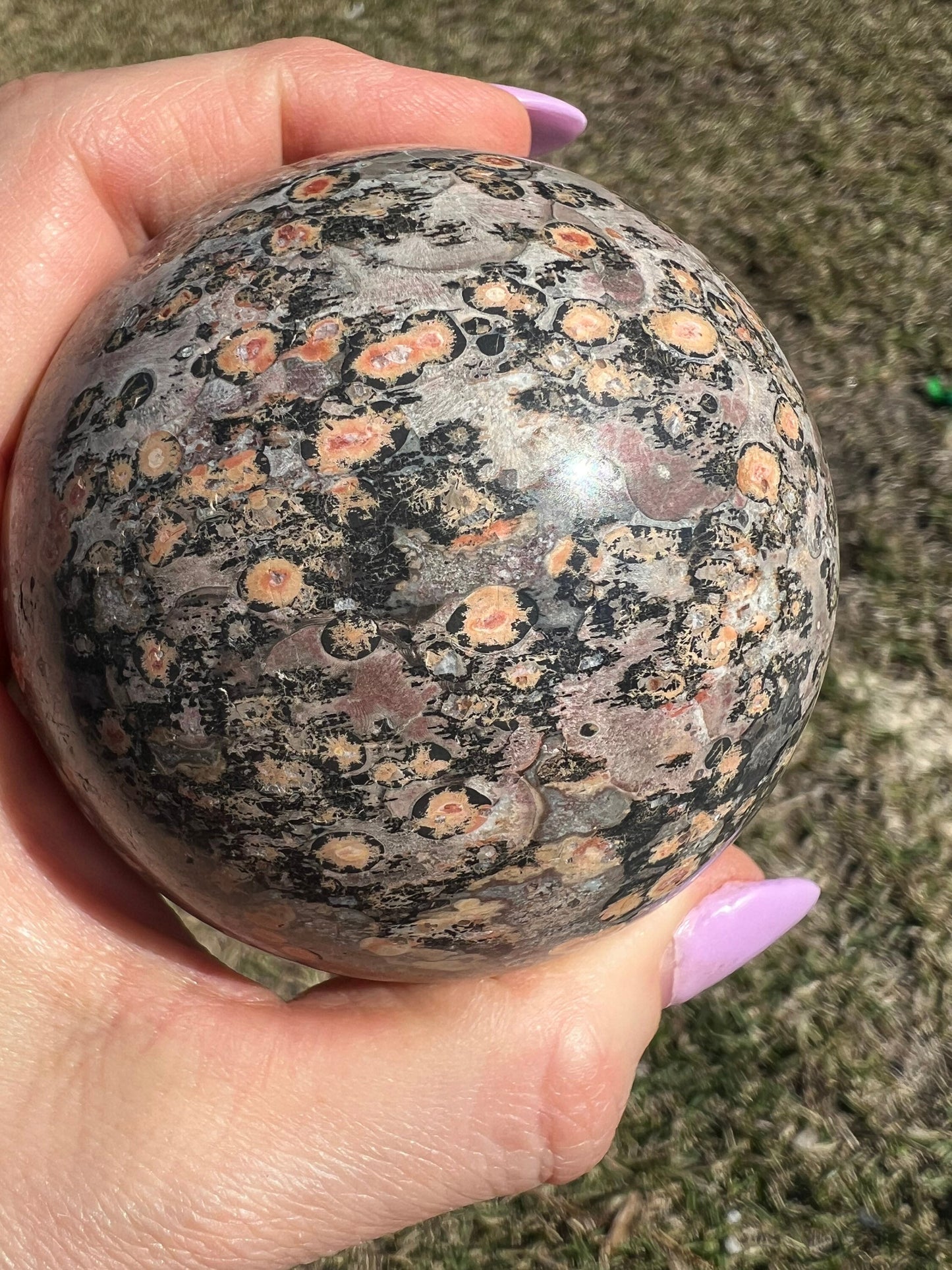 Leopard skin jasper 71mm sphere 434g