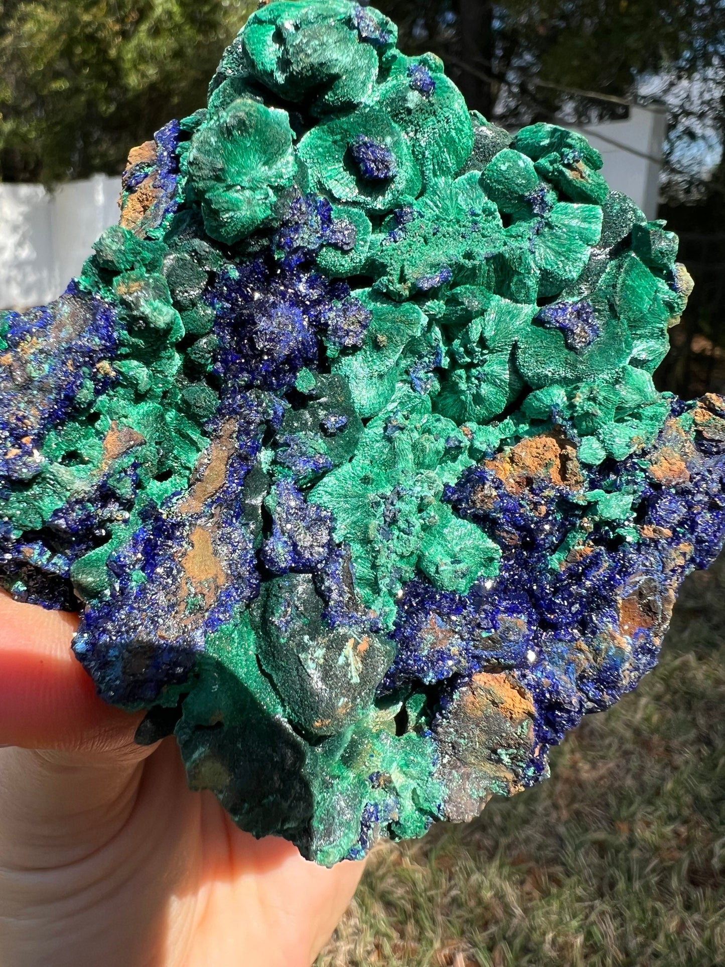 Azurite malachite 1pound 1oz