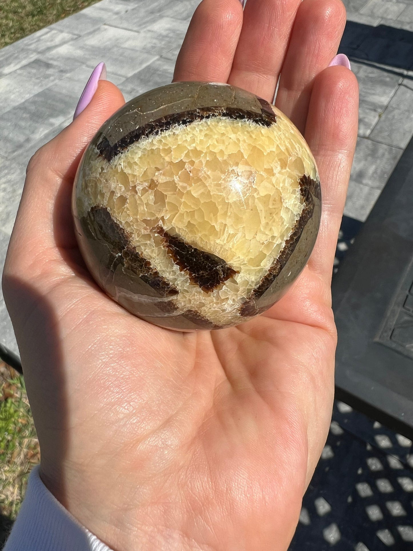 Septarian sphere and half raw cluster. 1 pound 13oz