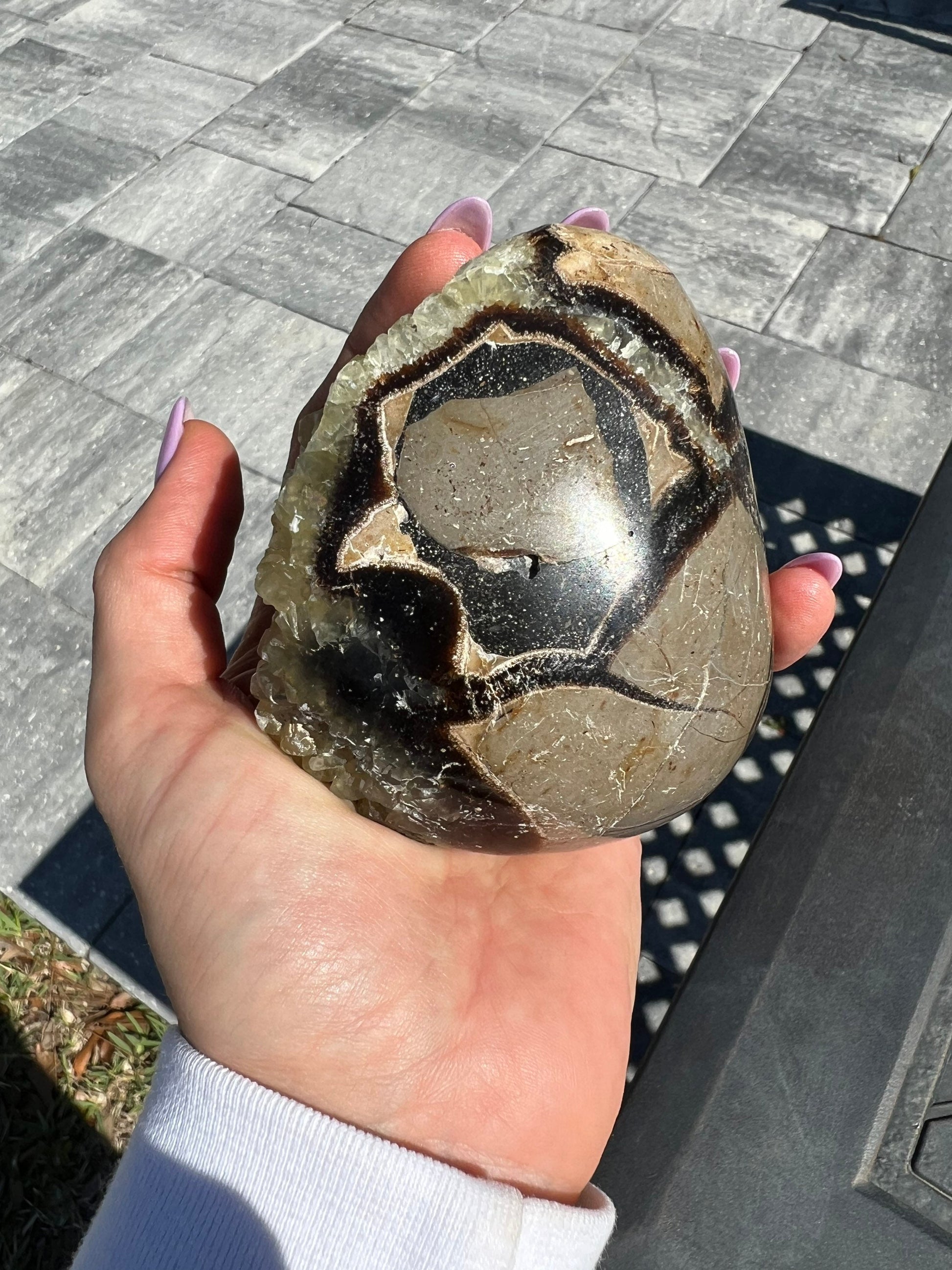 Septarian sphere and half raw cluster. 1 pound 13oz