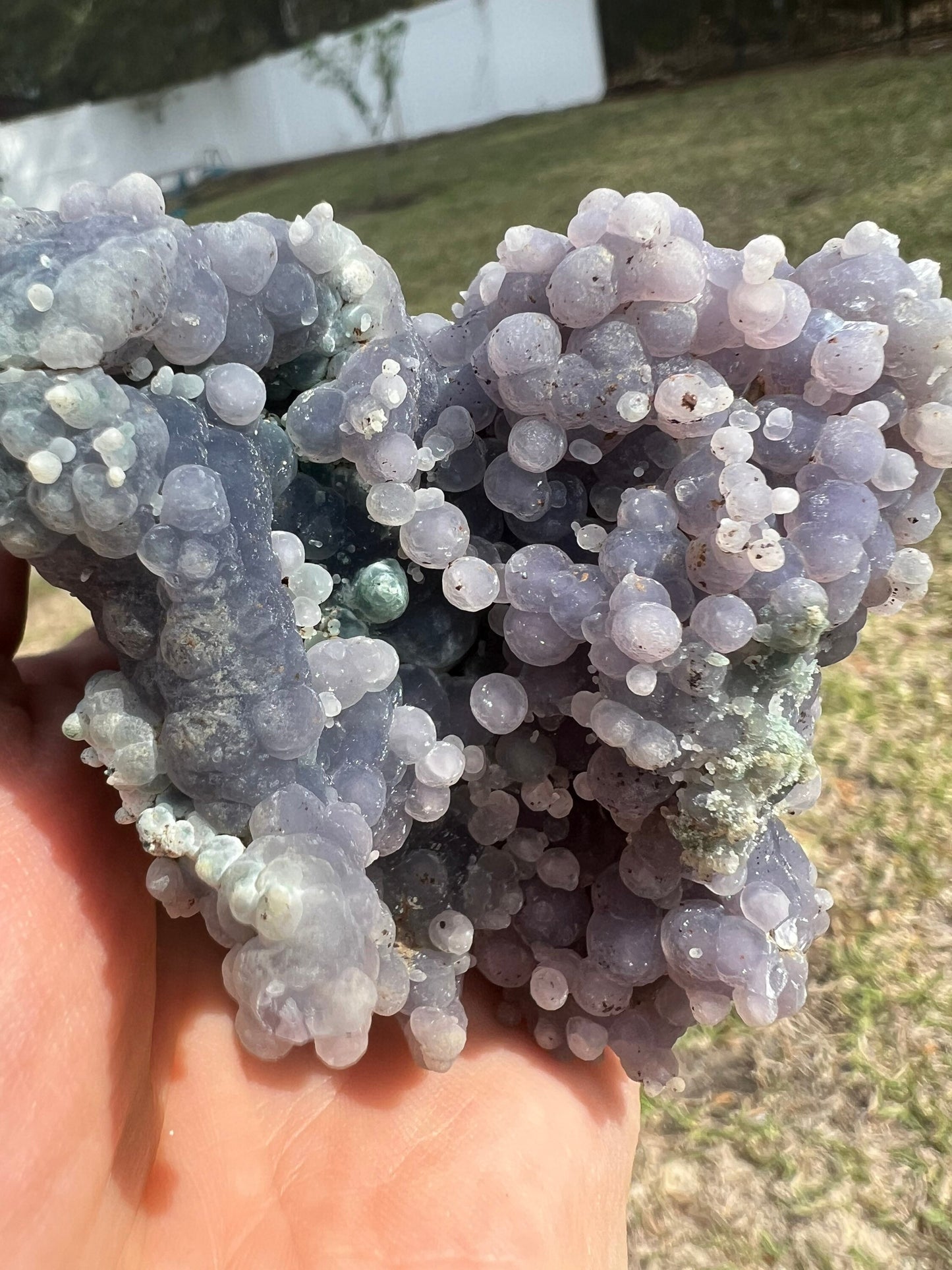 Grape agate 1pound 1oz