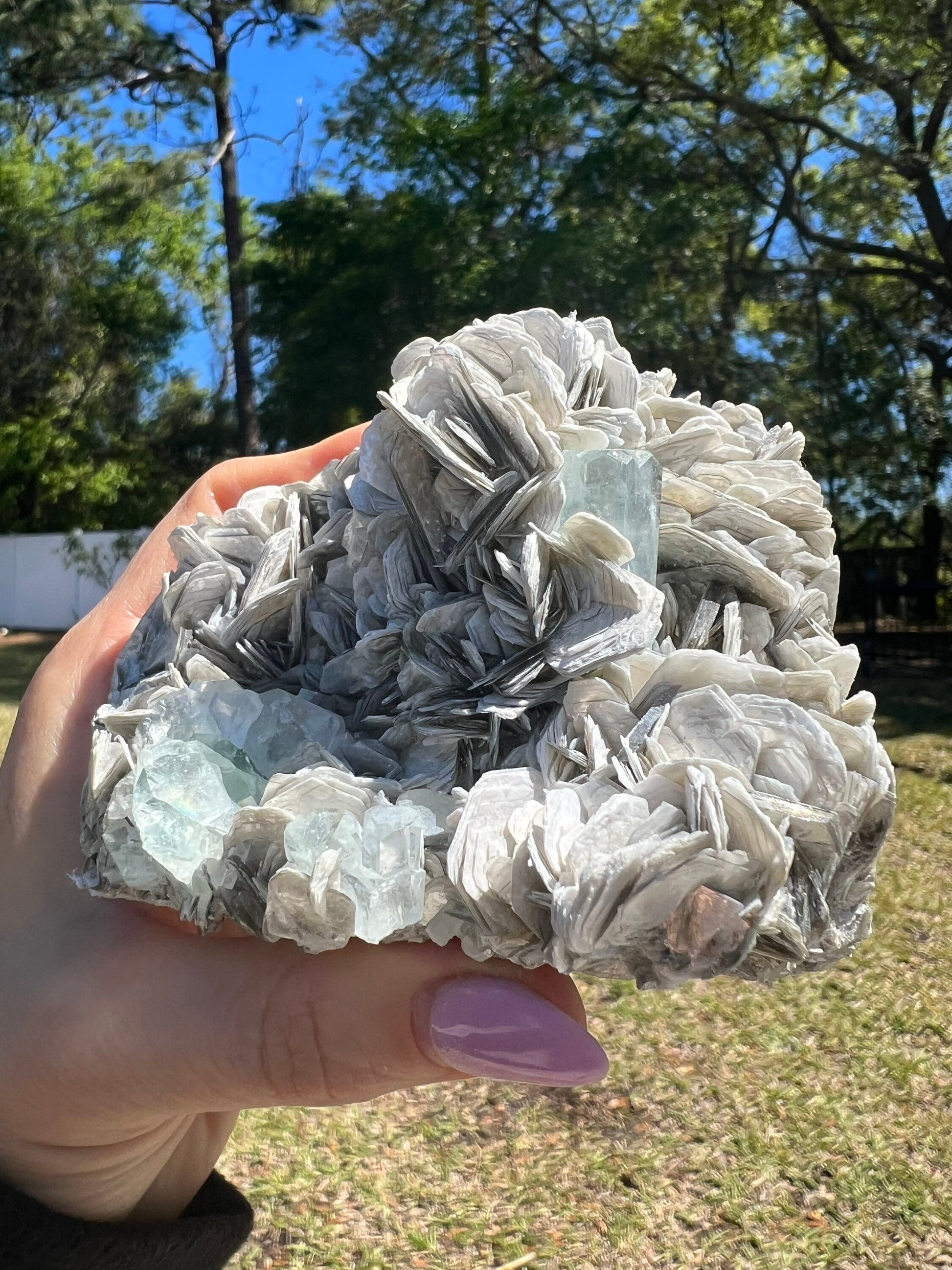 Aquamarine on muscovite cluster 1pound 1oz