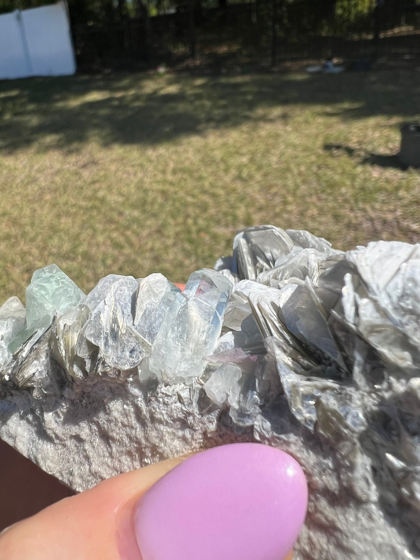 Aquamarine on muscovite cluster 1pound 1oz