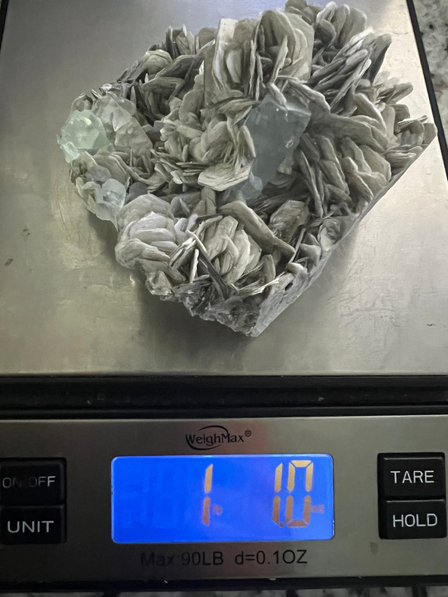 Aquamarine on muscovite cluster 1pound 1oz
