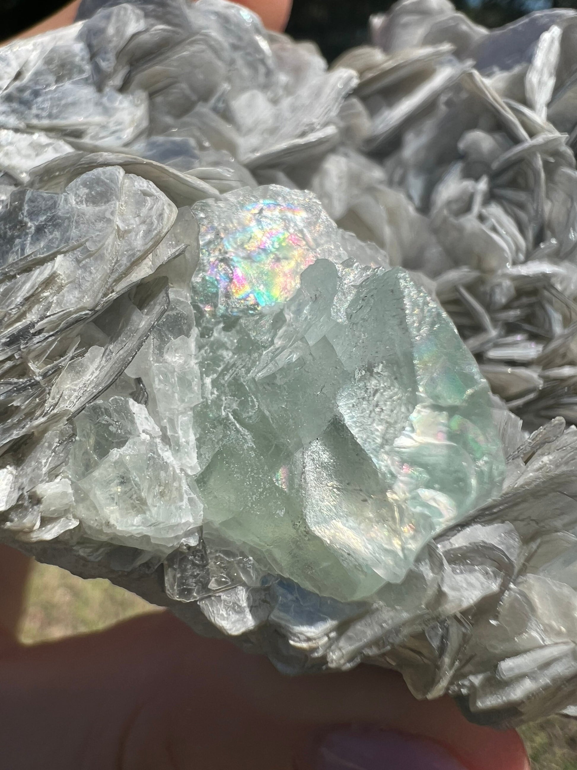 Aquamarine on muscovite cluster 1pound 1oz