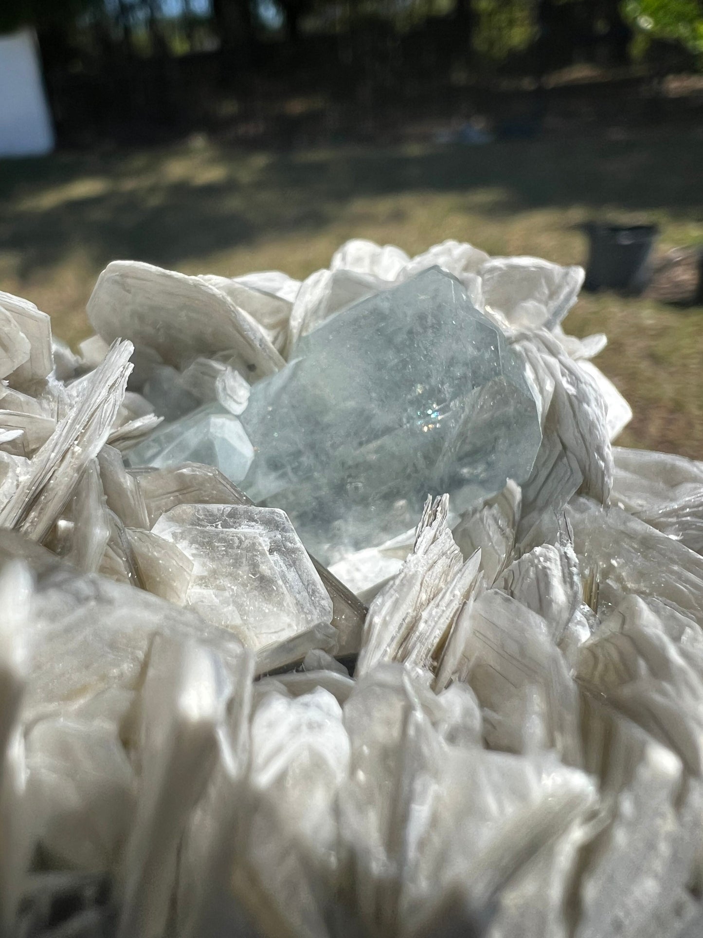Aquamarine on muscovite cluster 1pound 1oz