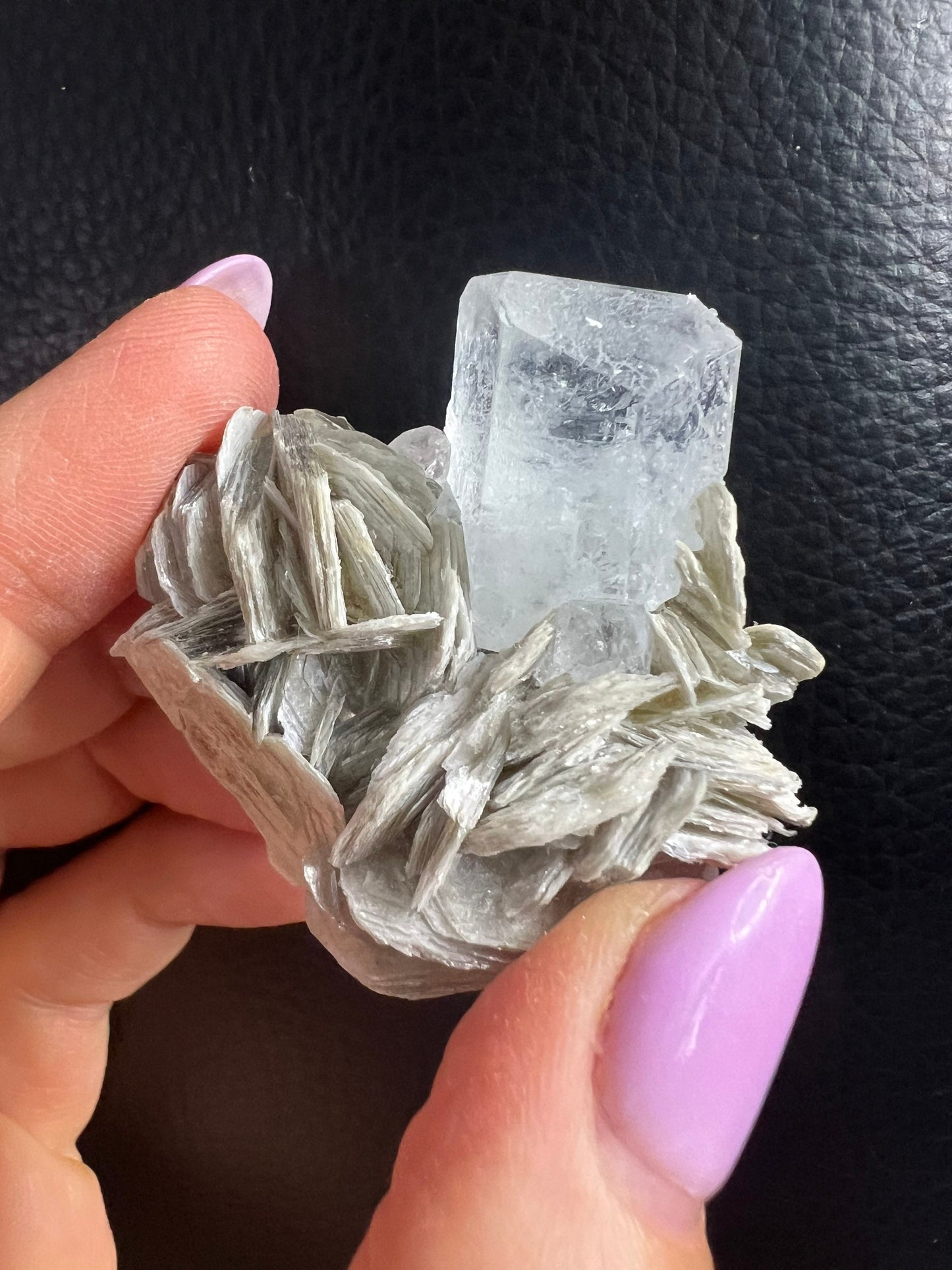 Aquamarine on mica 6 small clusters total weight 208grams
