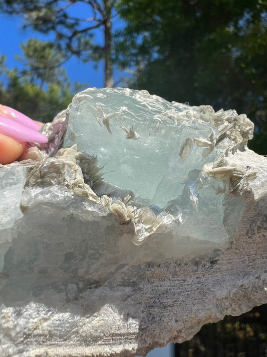 Aquamarine on muscovite 414grams cluster