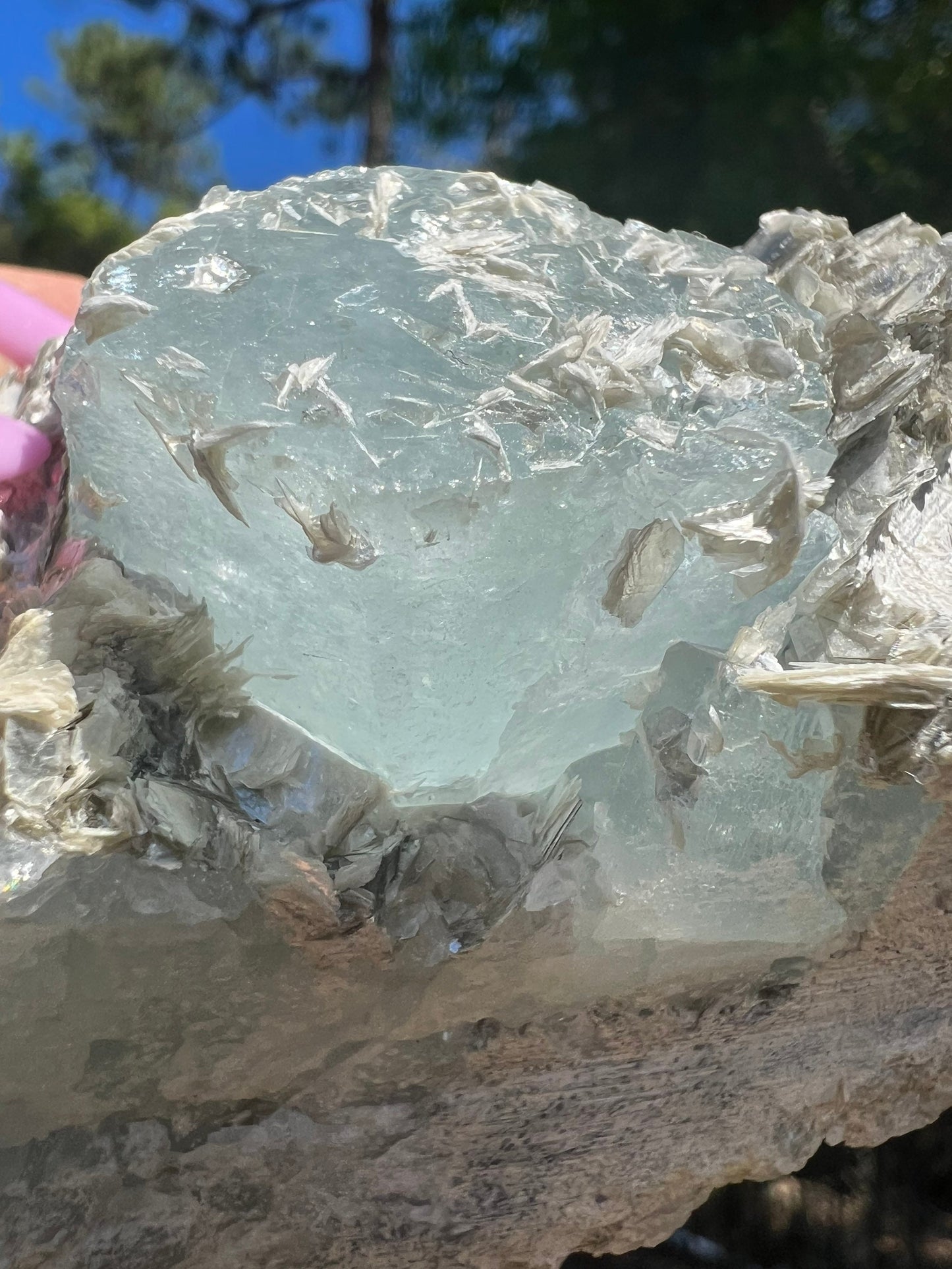 Aquamarine on muscovite 414grams cluster