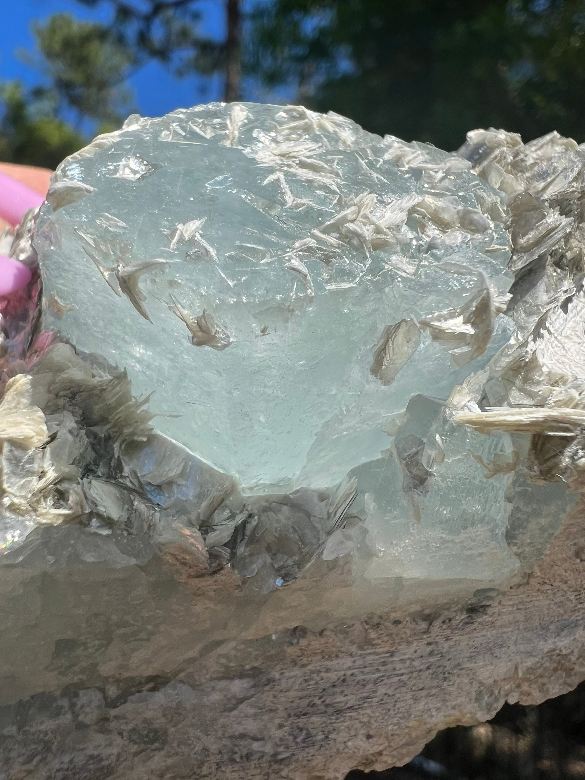 Aquamarine on muscovite 414grams cluster