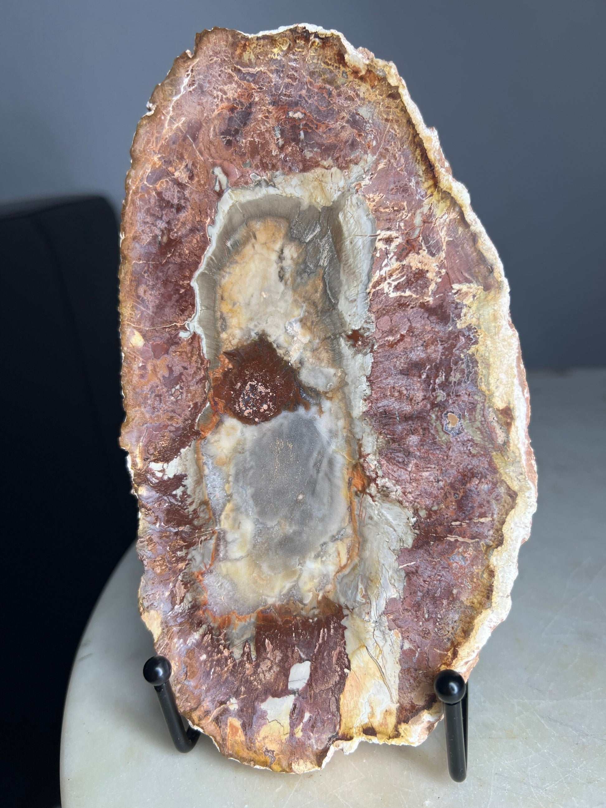 Petrified wood slab 1 pound 10oz from Madagascar. 7 inches long