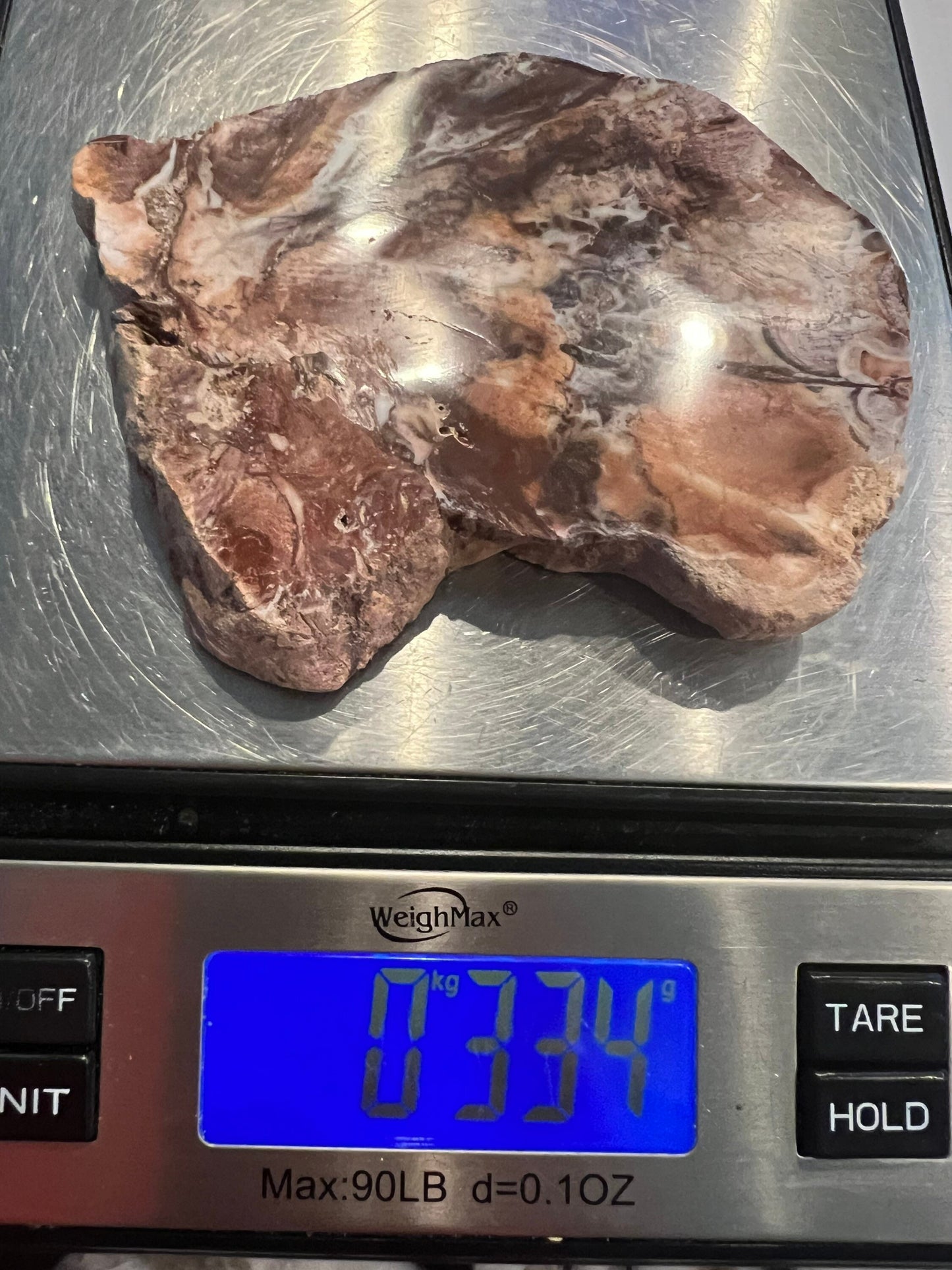 Petrified wood 334grams