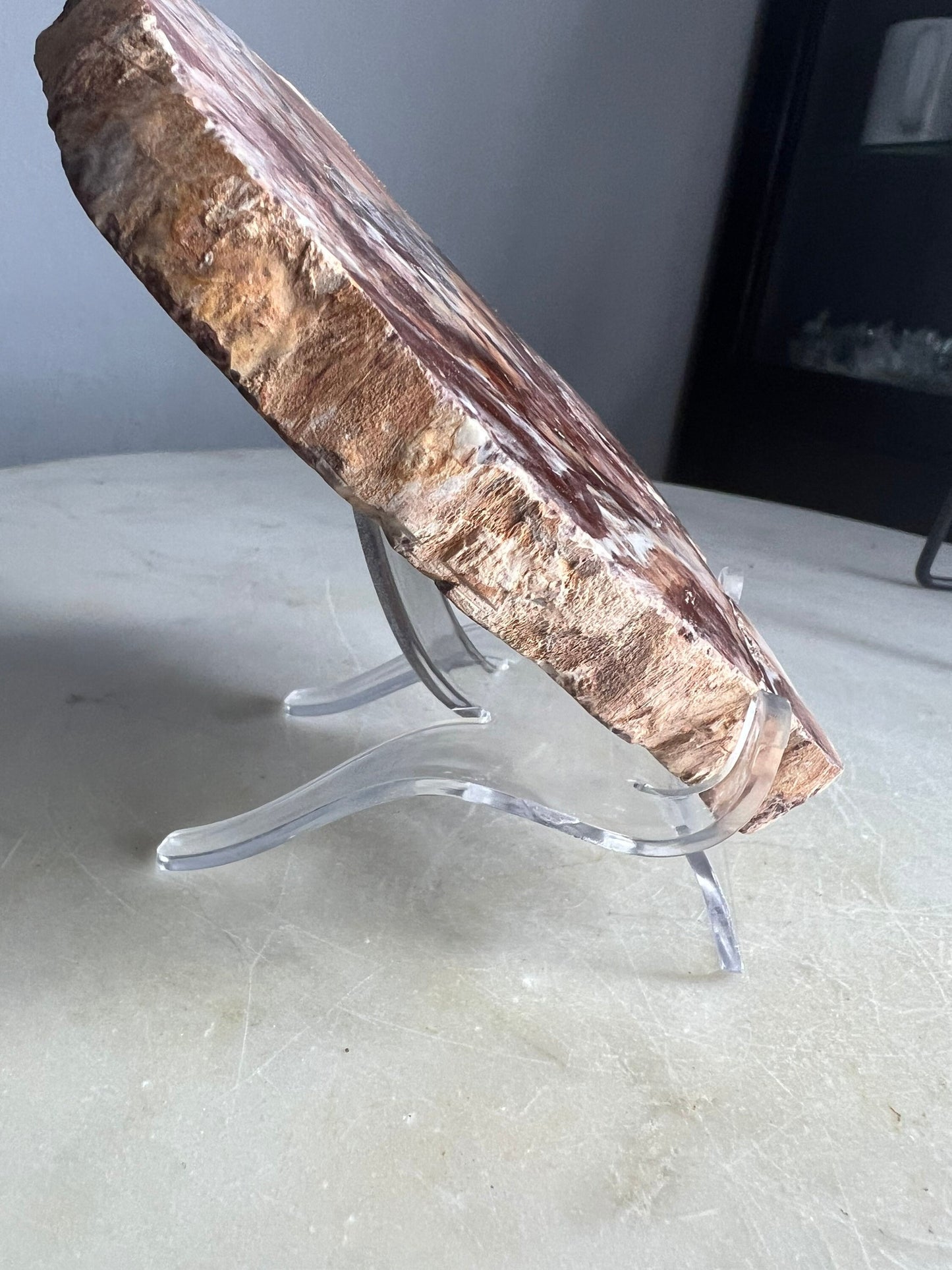 Petrified wood 334grams