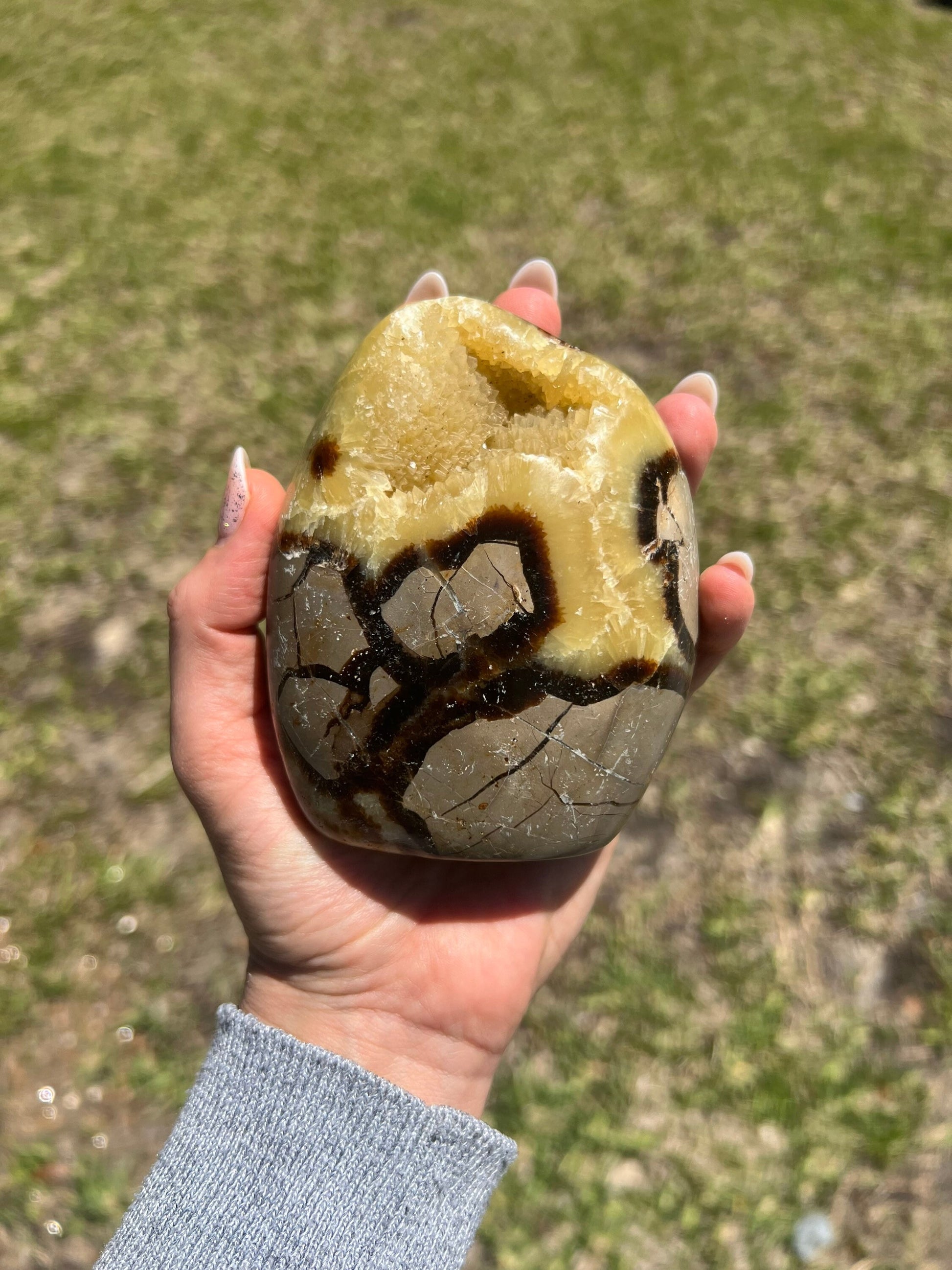 Septarian 1pound 9oz