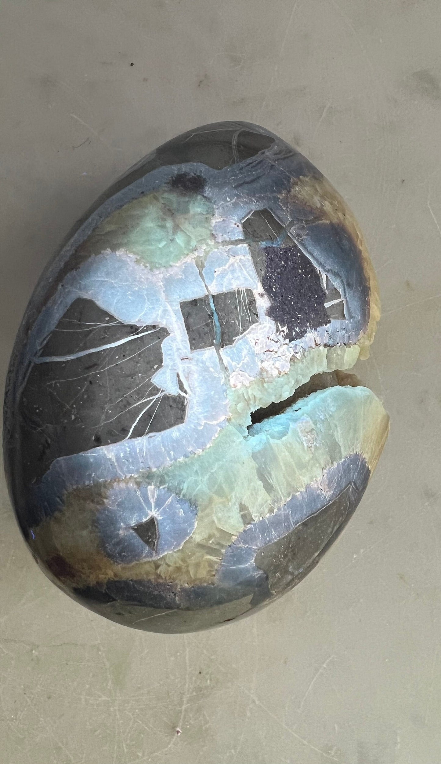 Septarian egg 1pound 12oz