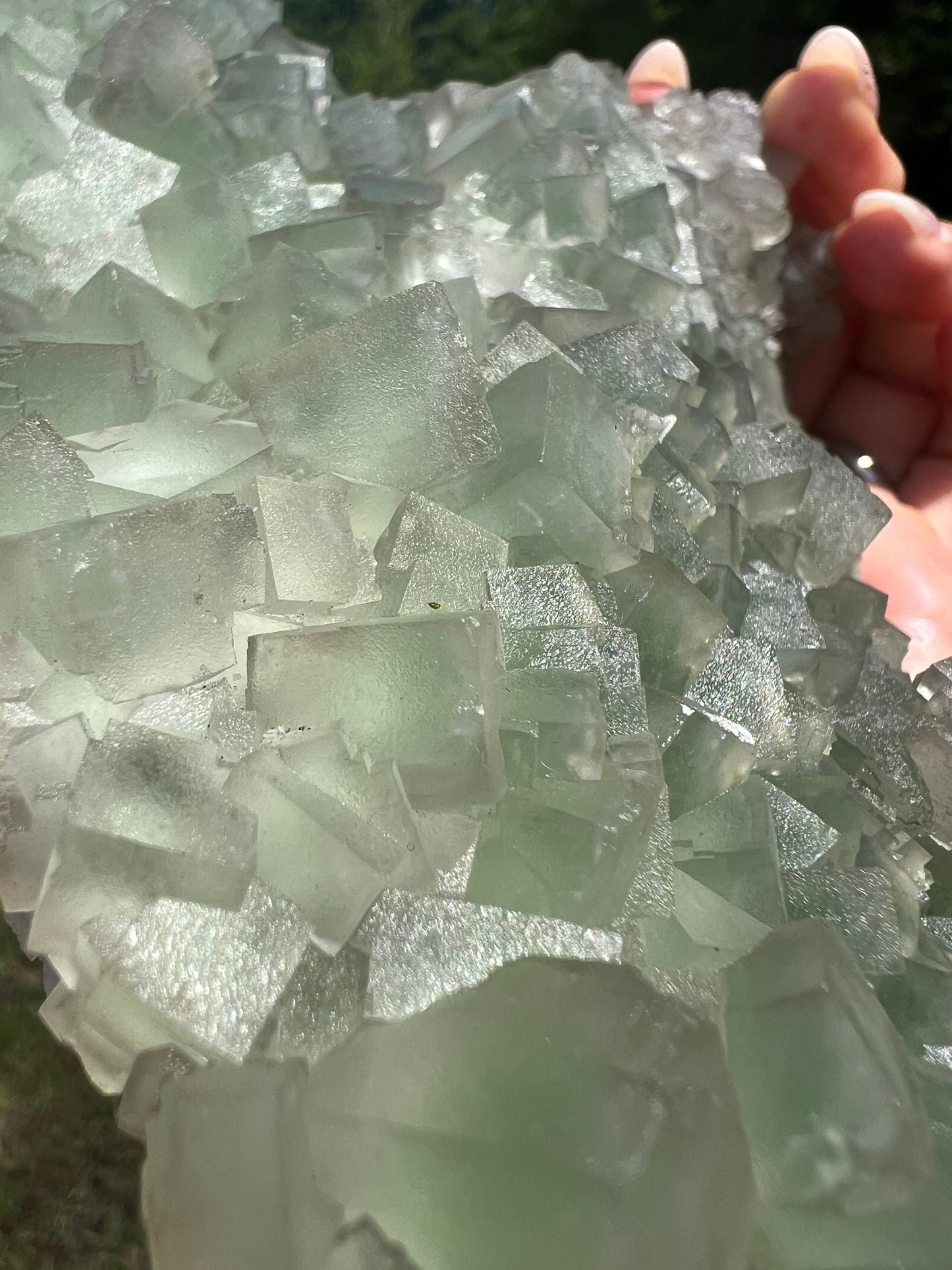 Green cubed fluorite 3pounds 4oz