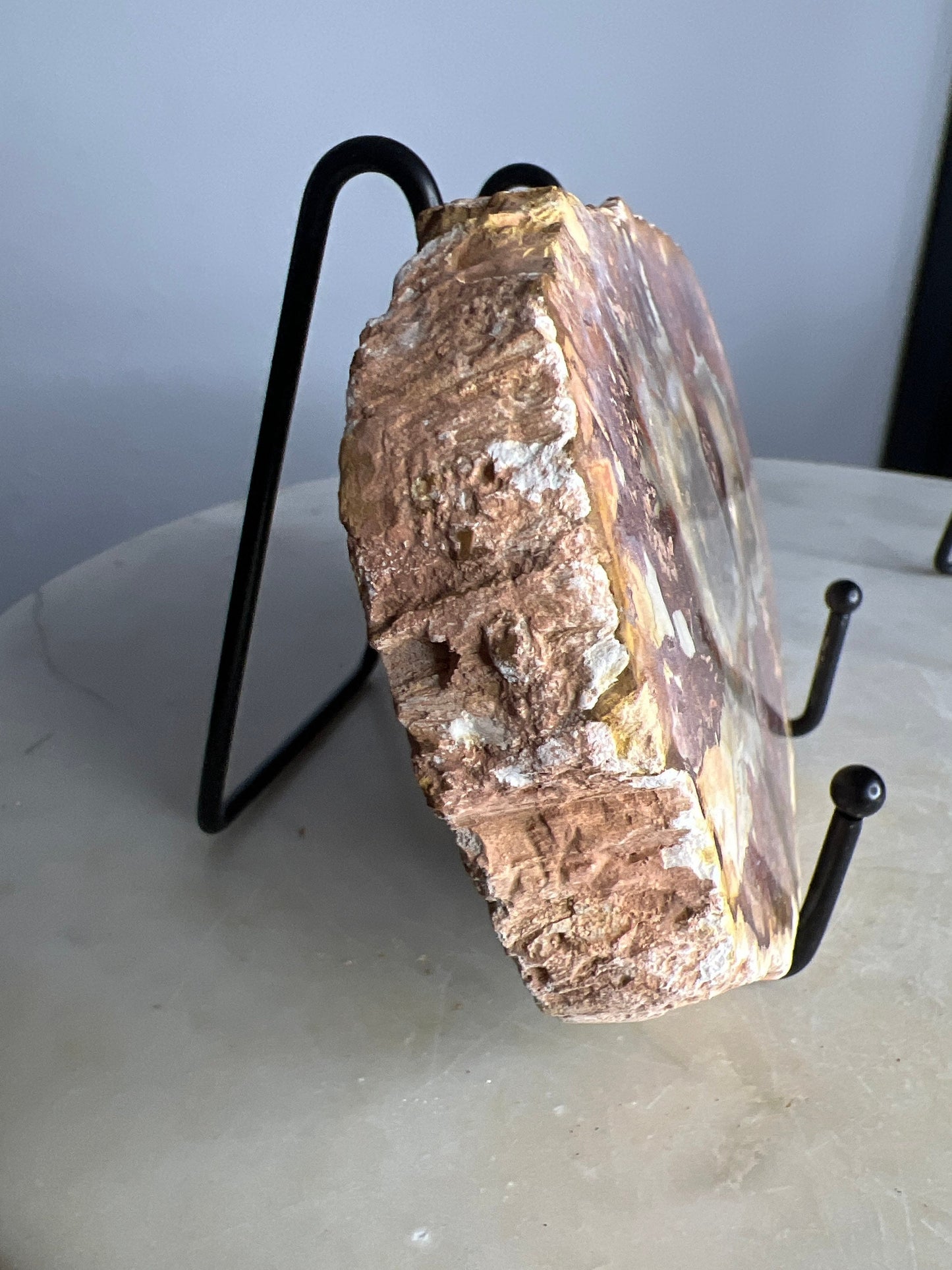 Petrified wood slab 1 pound 10oz from Madagascar. 7 inches long