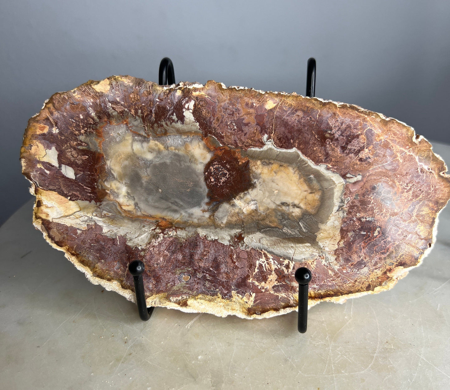 Petrified wood slab 1 pound 10oz from Madagascar. 7 inches long