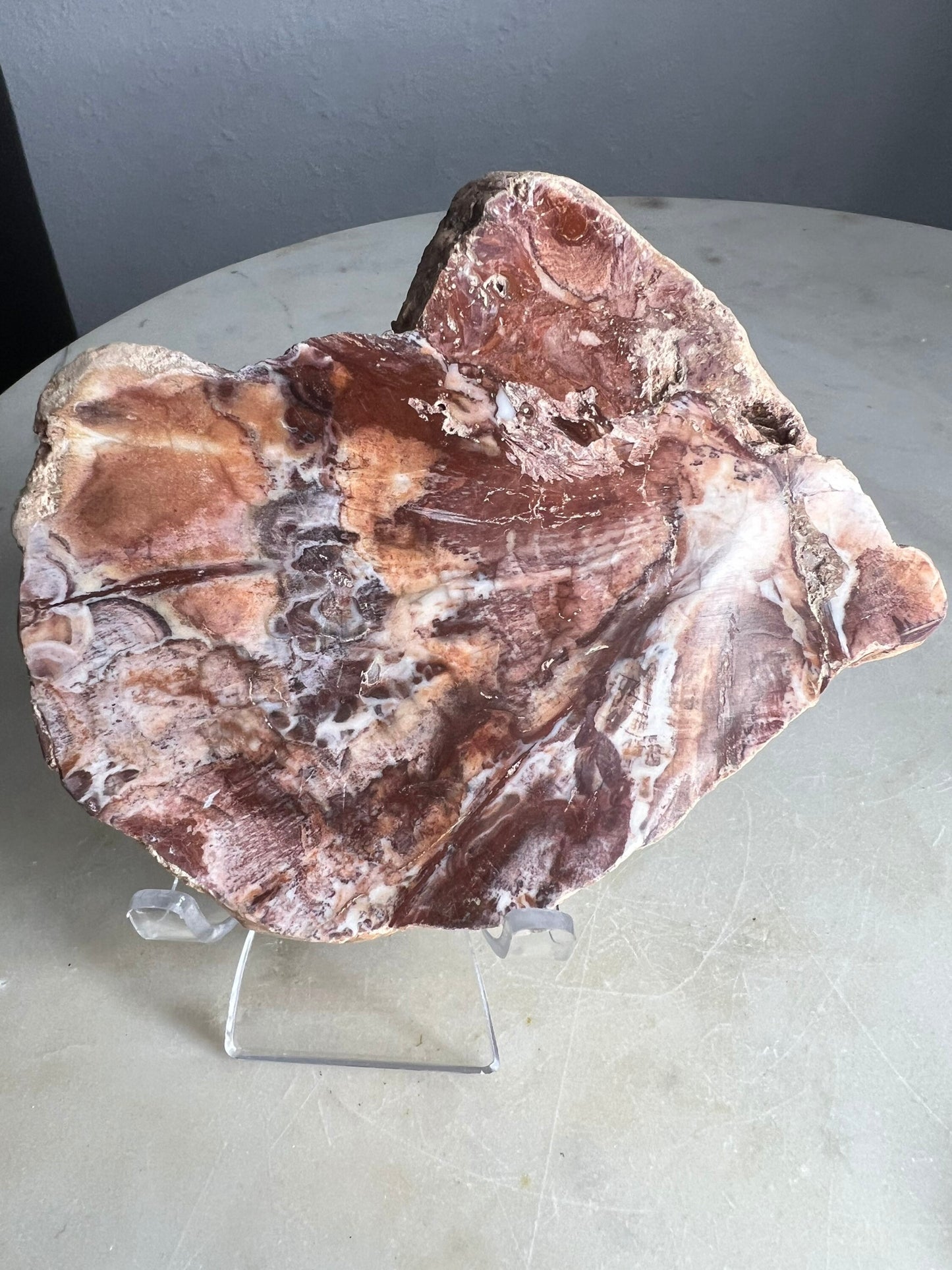 Petrified wood 334grams