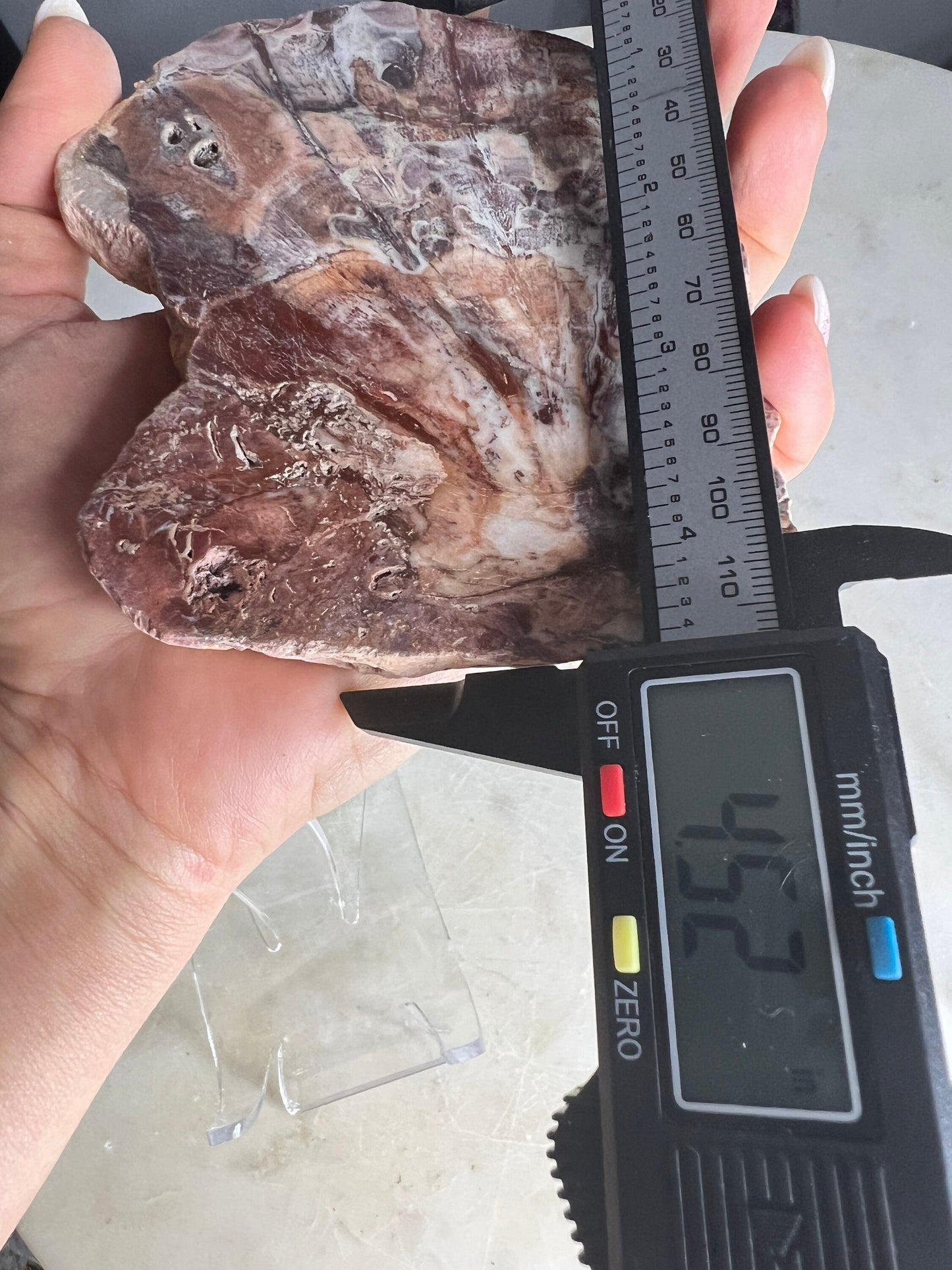 Petrified wood 334grams