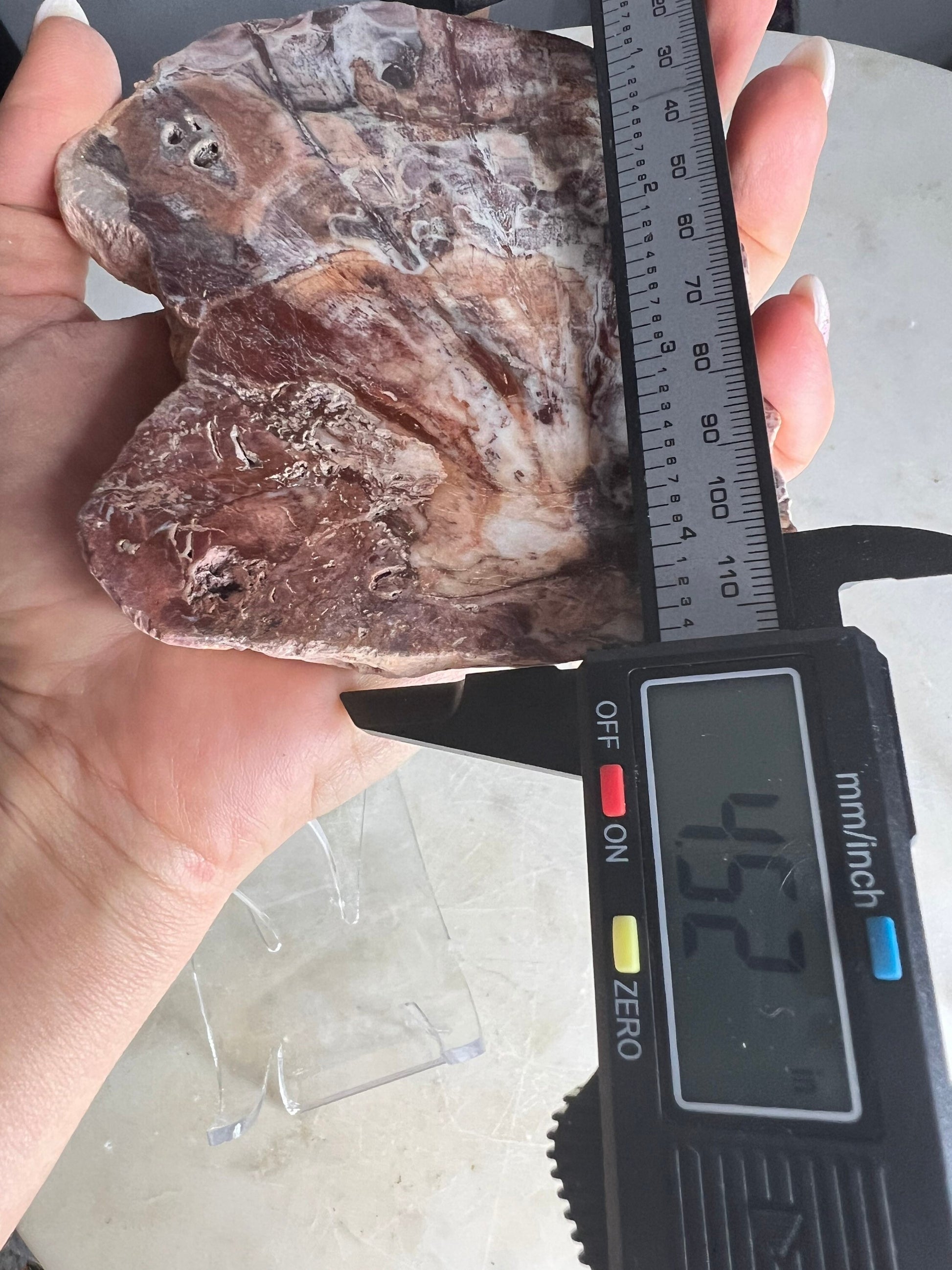 Petrified wood 334grams