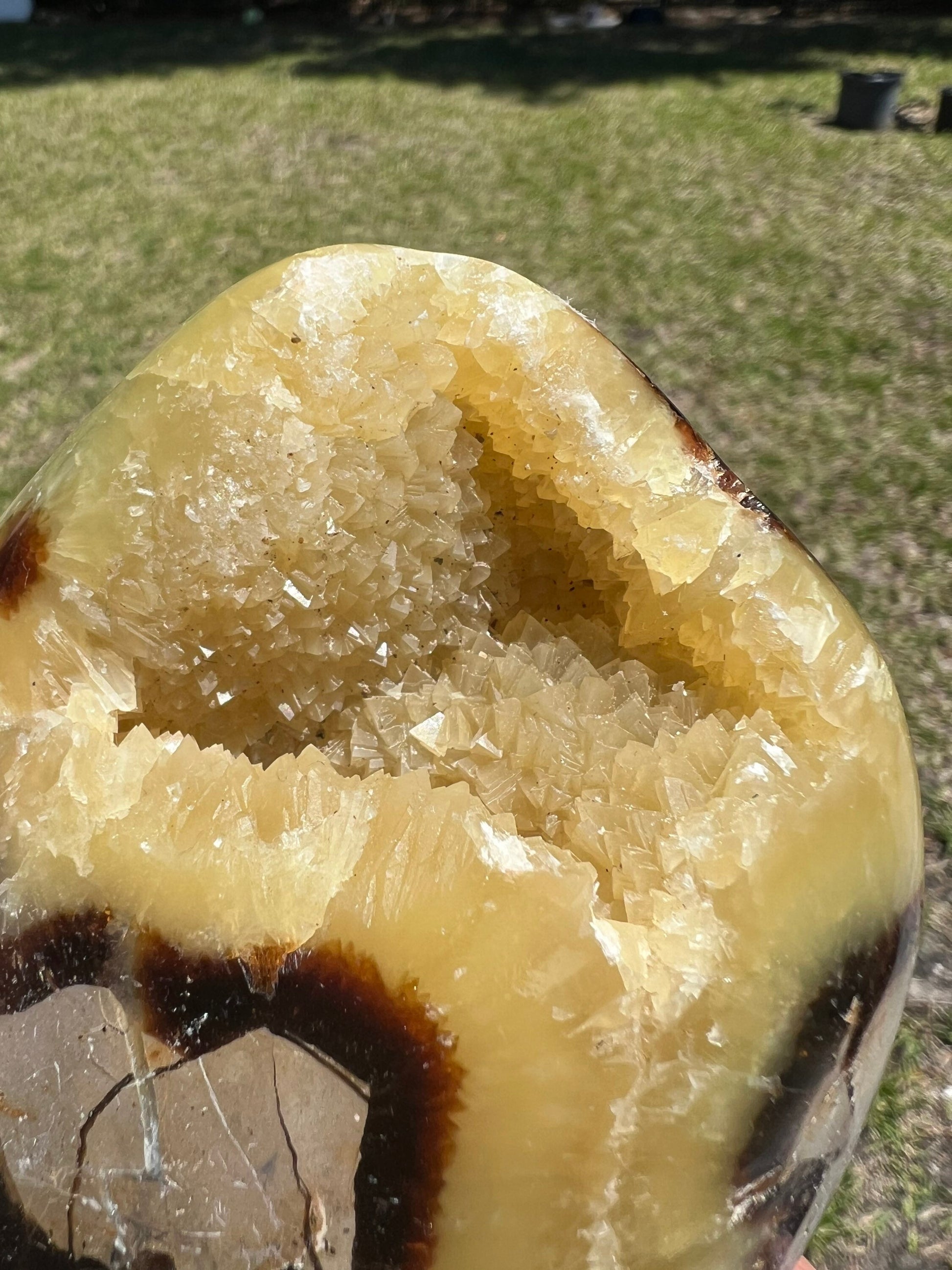 Septarian 1pound 9oz
