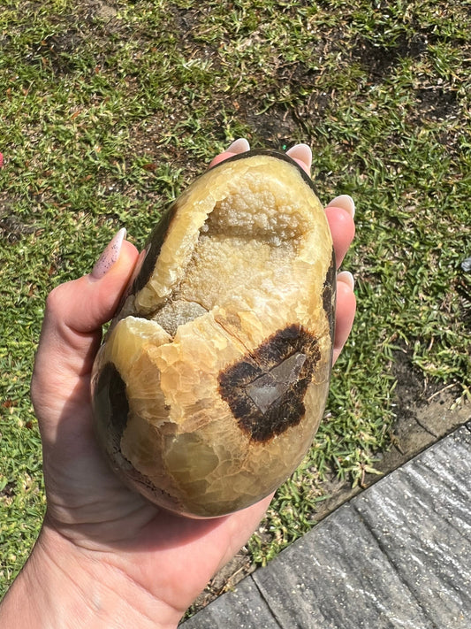 Septarian egg 1pound 12oz