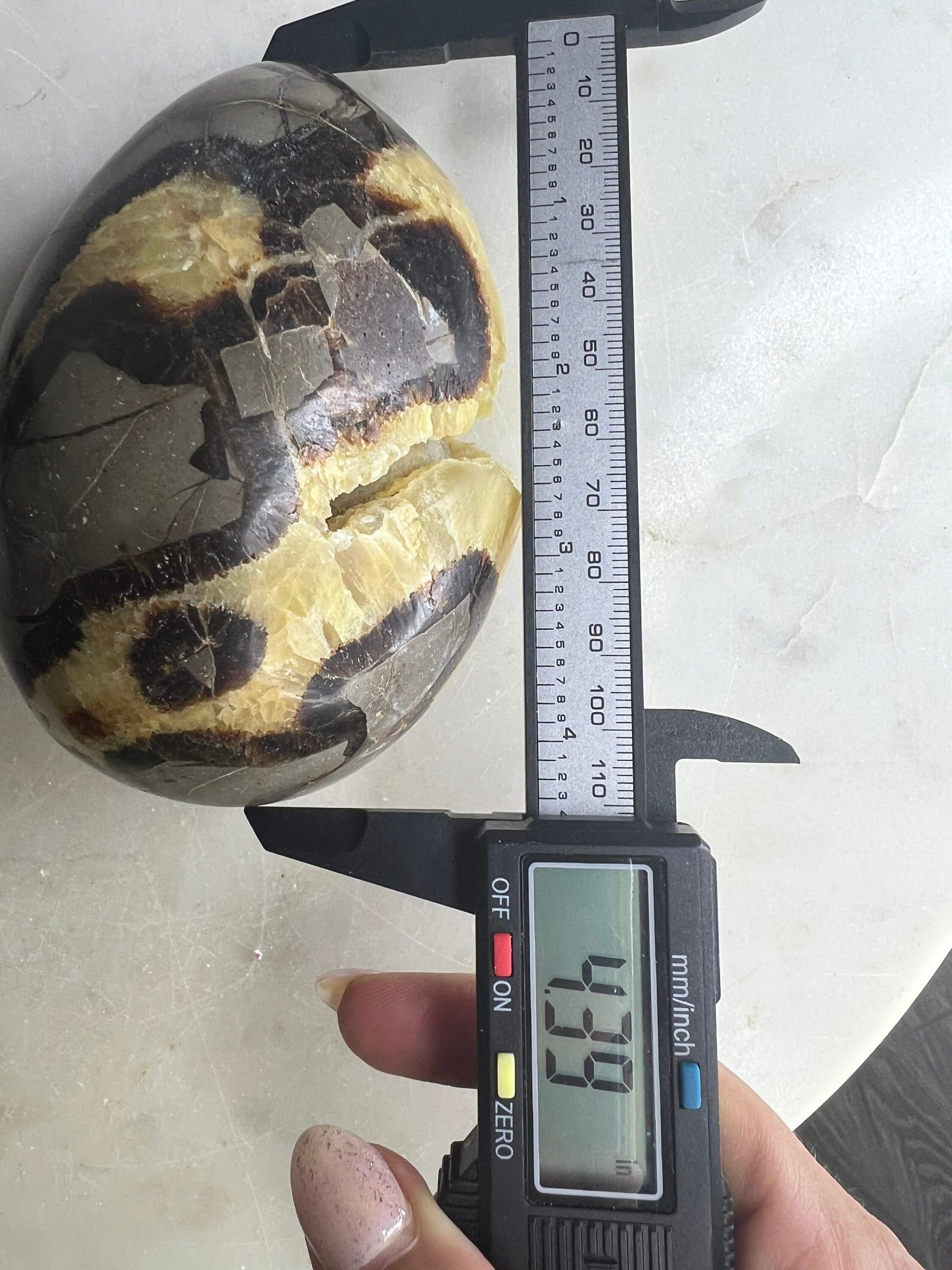 Septarian egg 1pound 12oz
