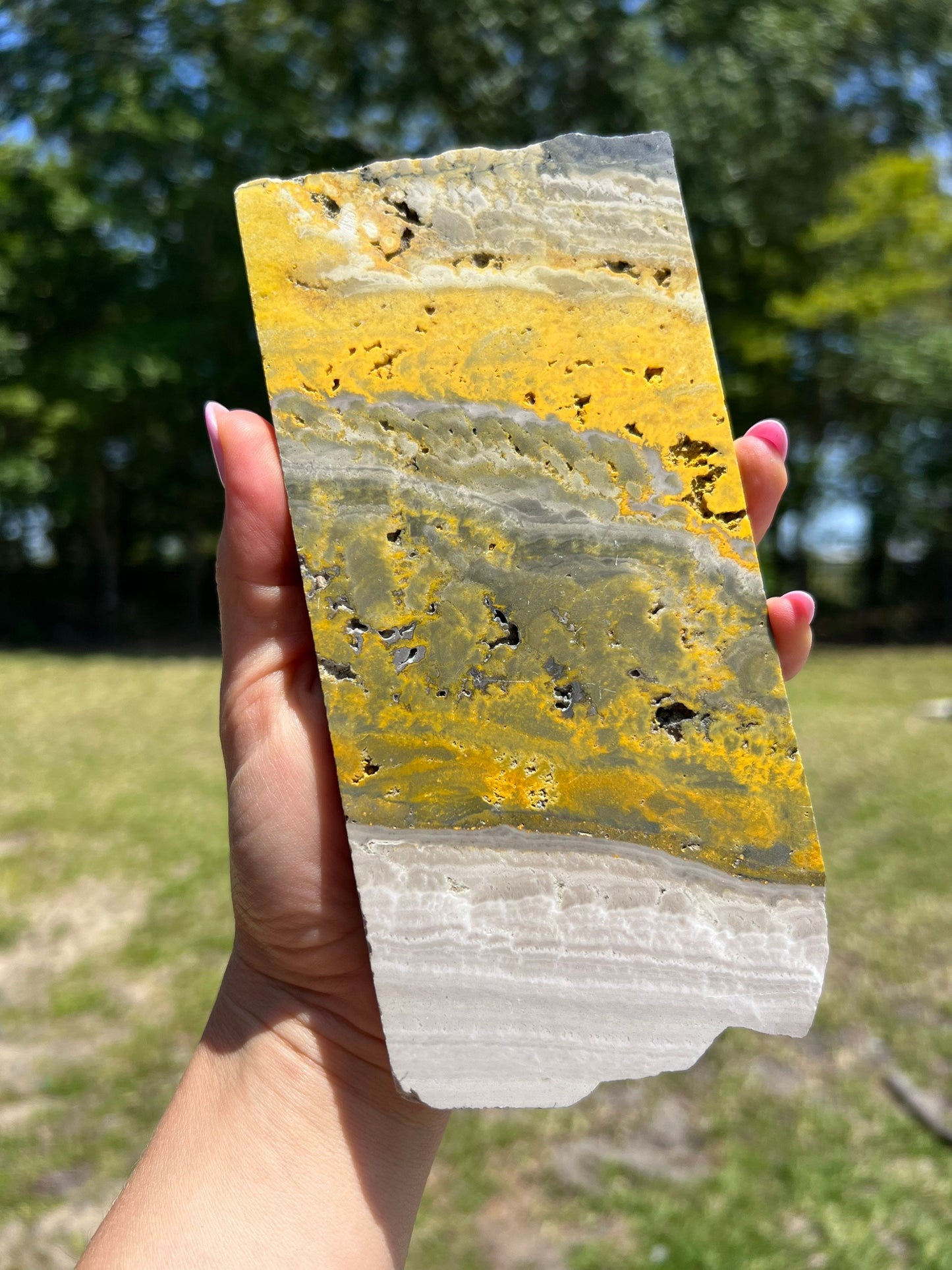 Bumblebee jasper slab 1pound 4oz