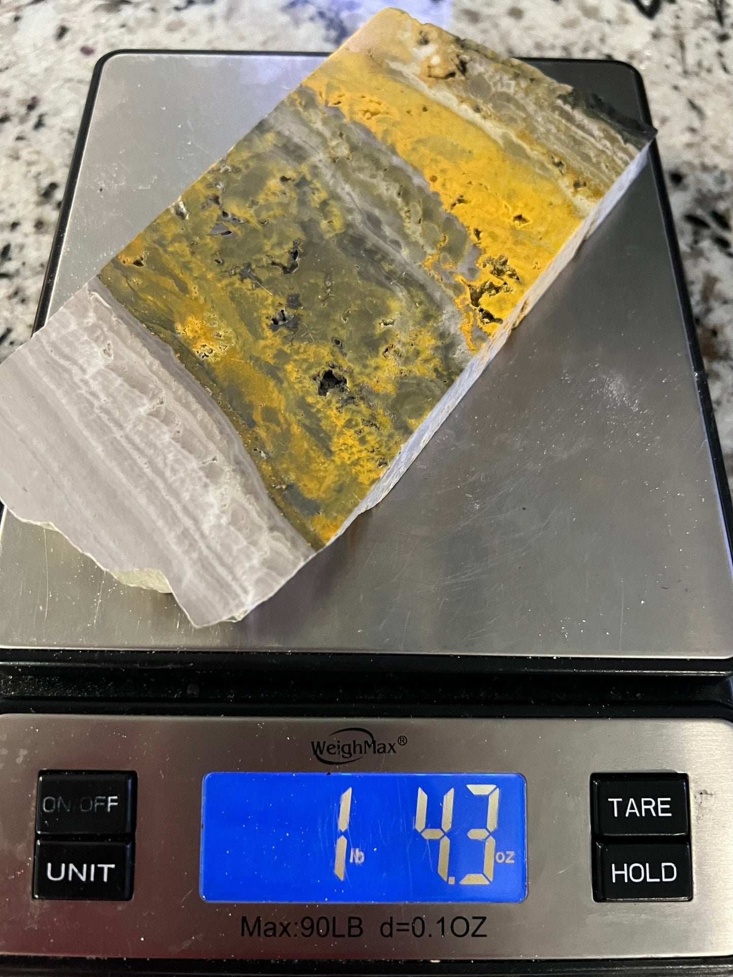 Bumblebee jasper slab 1pound 4oz