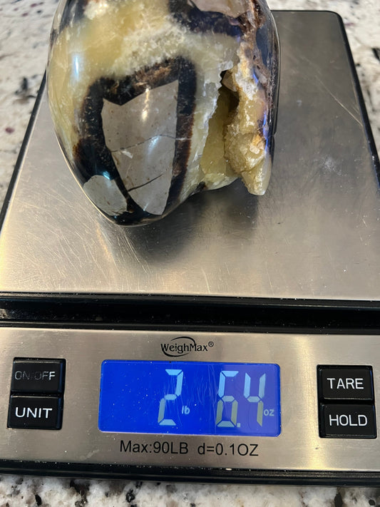 Septarian unique egg shape. 2 pounds 6oz