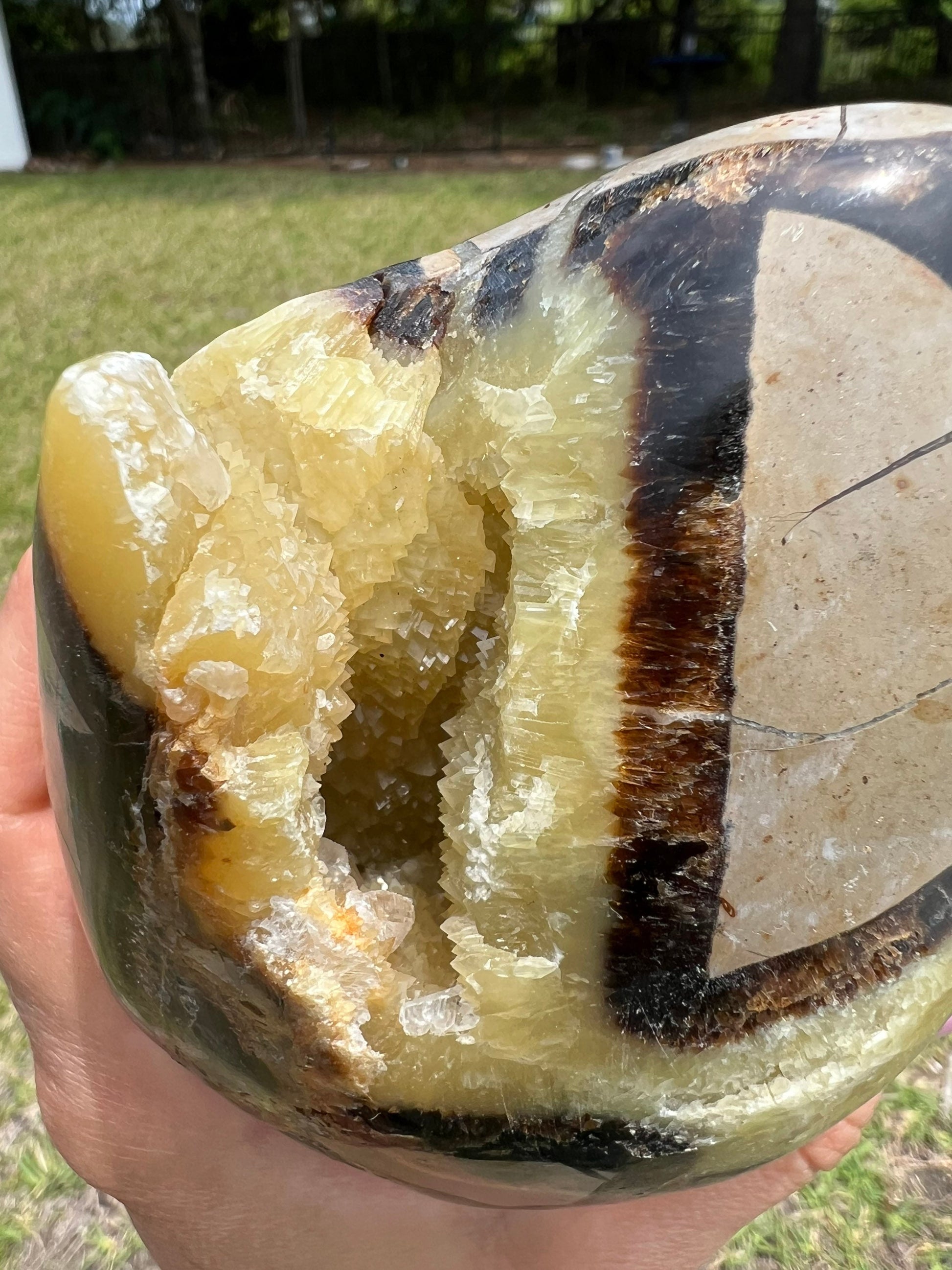Septarian unique egg shape. 2 pounds 6oz