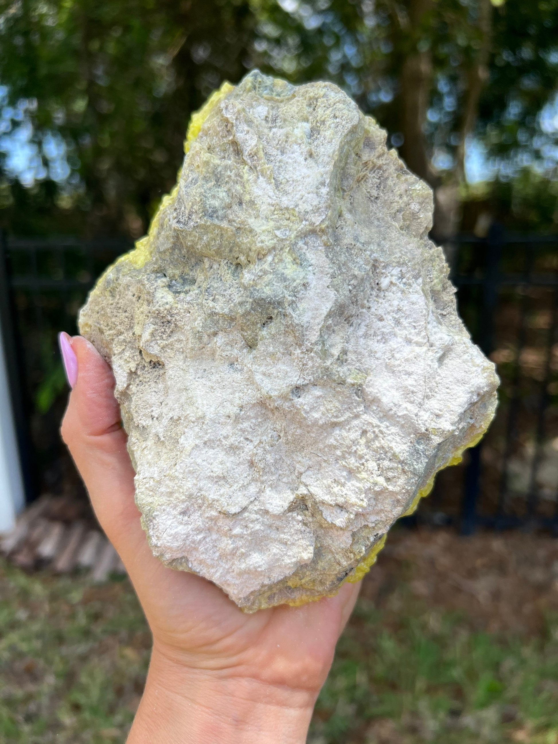 Natural surfer 1pound 12oz