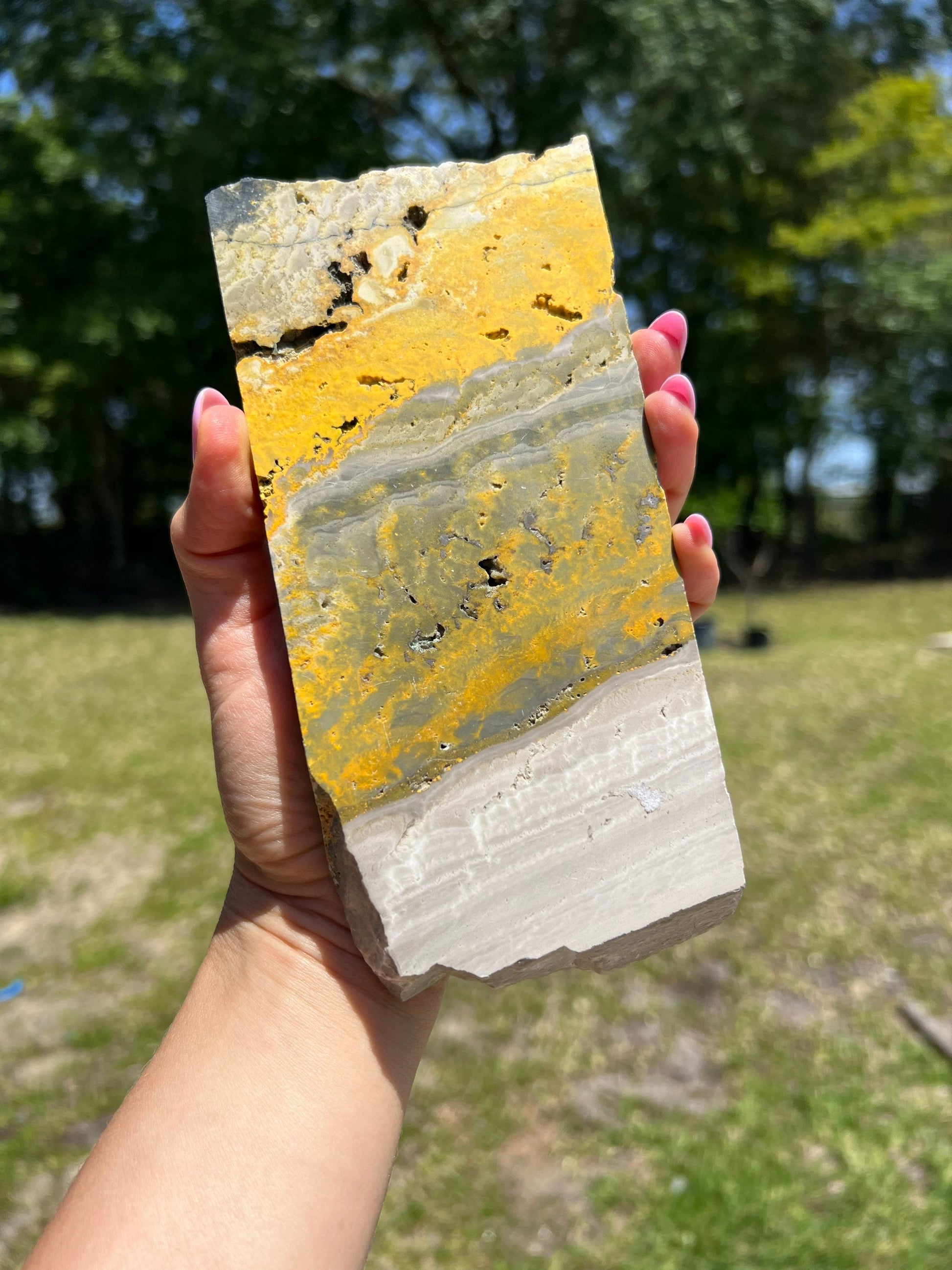 Bumblebee jasper slab 1pound 4oz