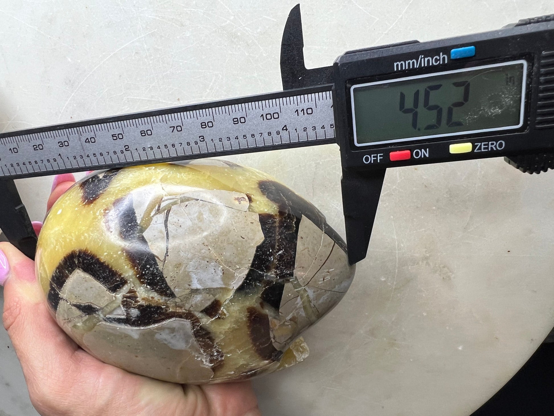 Septarian unique egg shape. 2 pounds 6oz