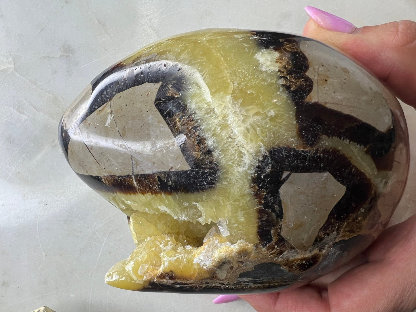 Septarian unique egg shape. 2 pounds 6oz