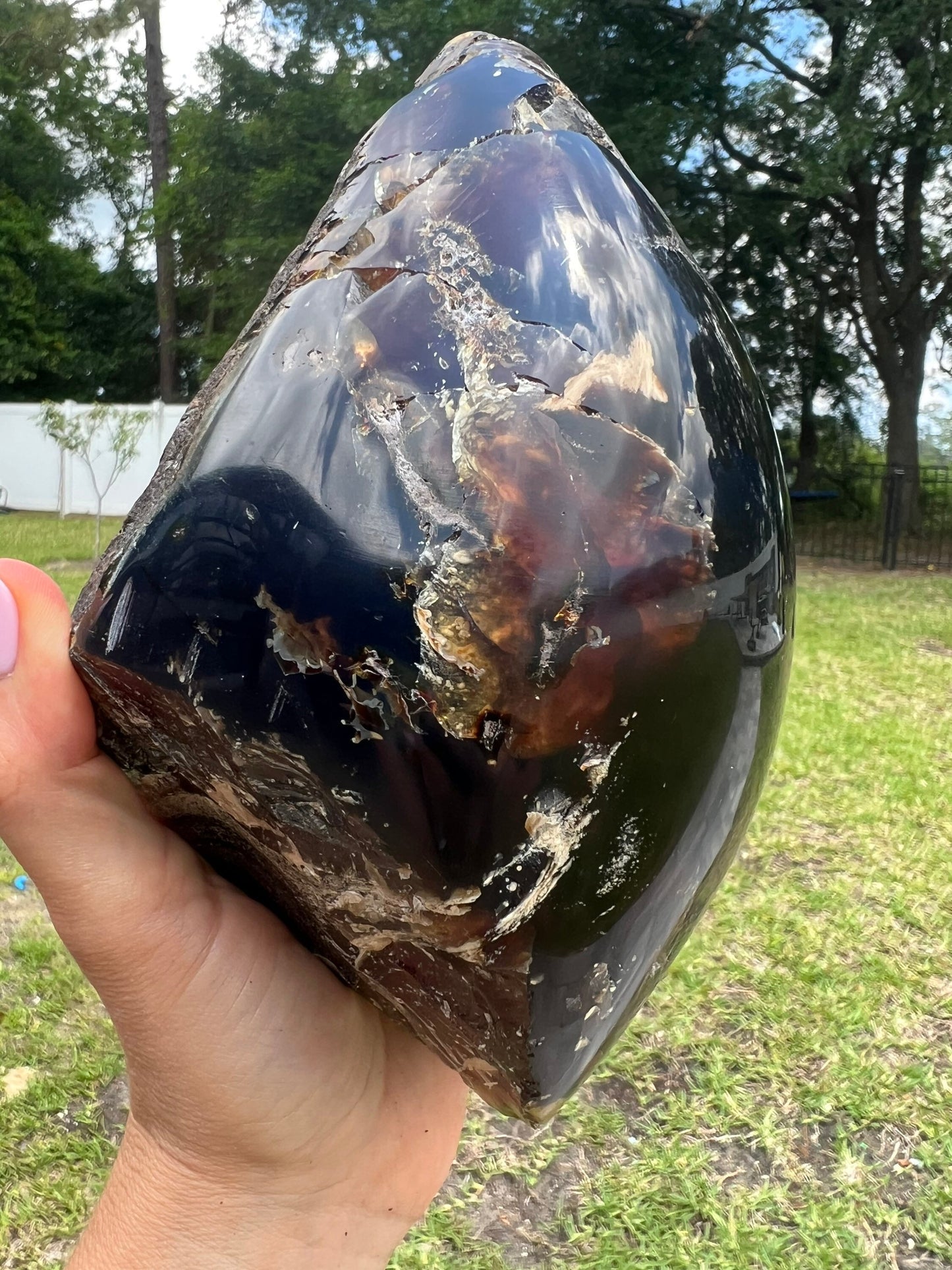 Sumatra amber 2pounds.