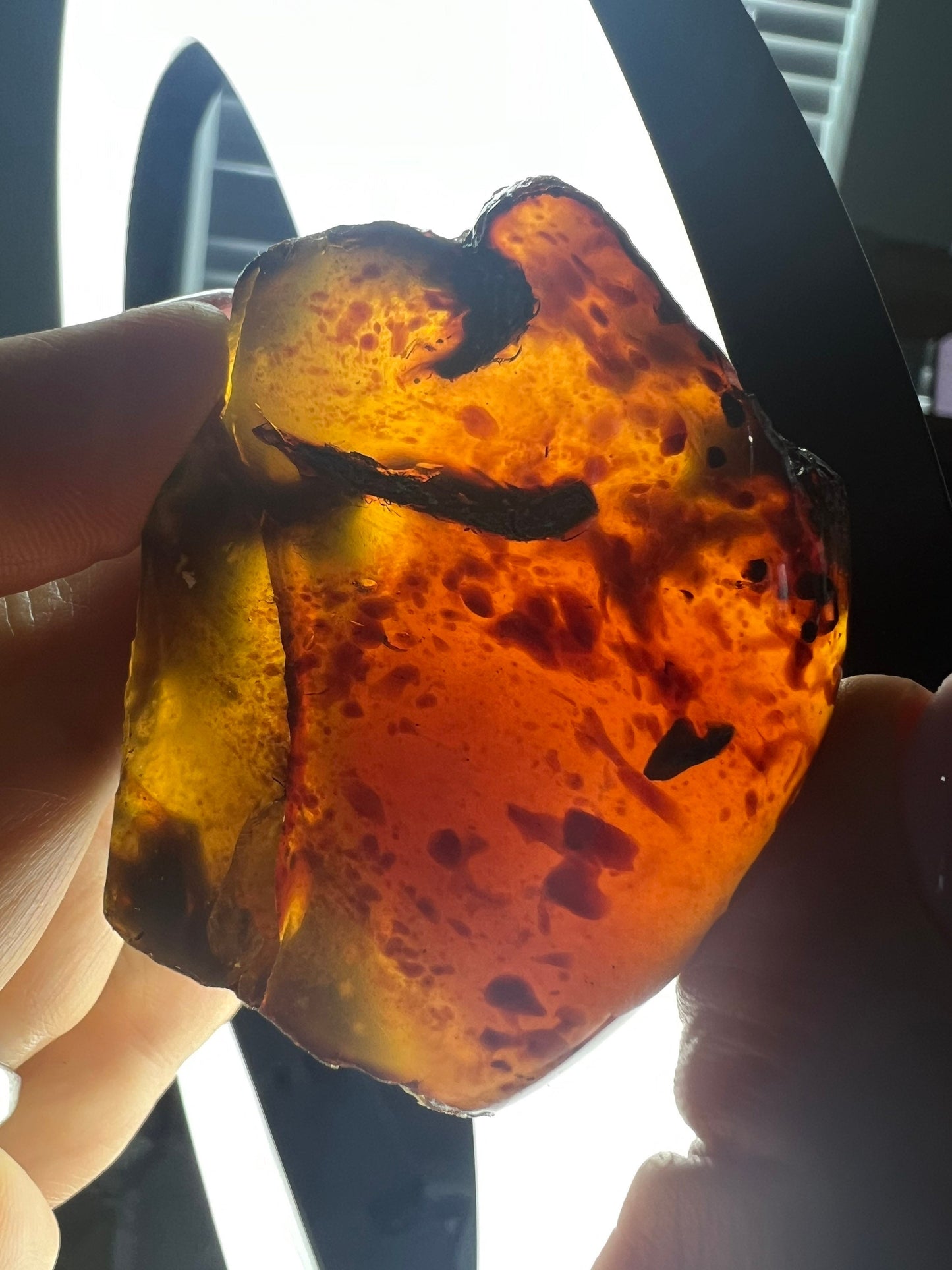 Sumatran amber 11 count clusters total weight 2pounds.