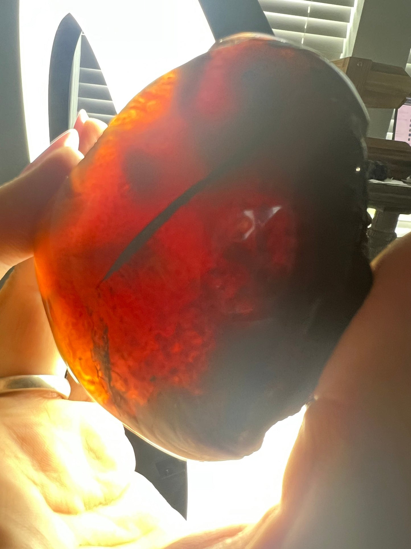 Sumatran amber 11 count clusters total weight 2pounds.